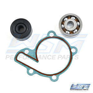 Banshee water pump rebuild kit
