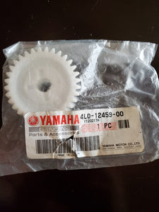 GEAR, IMPELLER SHAFT
