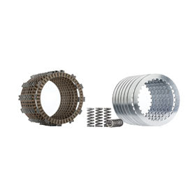 Hinson FSC Clutch Plate and Spring Kit