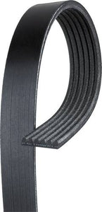 Serpentine Belt