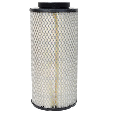 Polaris OEM Air Filter
